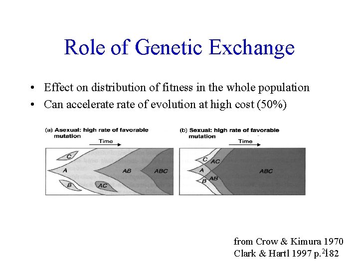 Role of Genetic Exchange • Effect on distribution of fitness in the whole population
