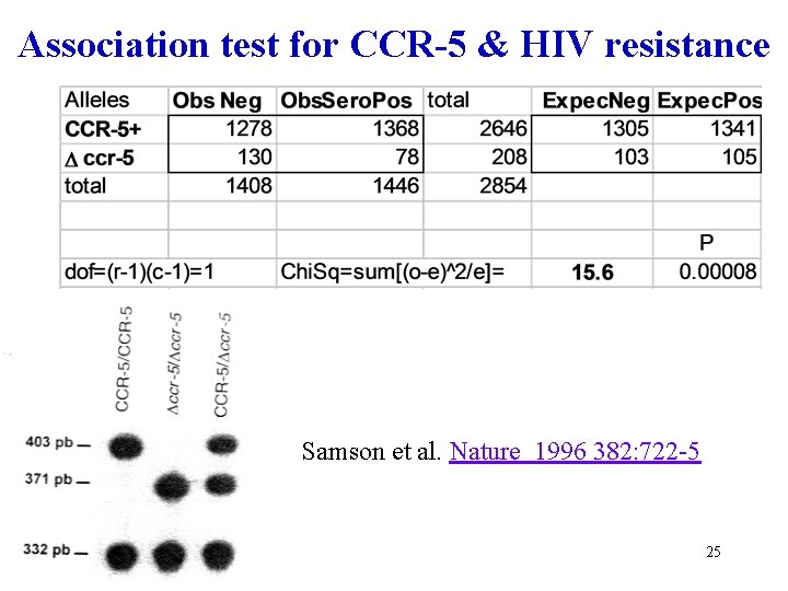 Association test for CCR-5 & HIV resistance Samson et al. Nature 1996 382: 722