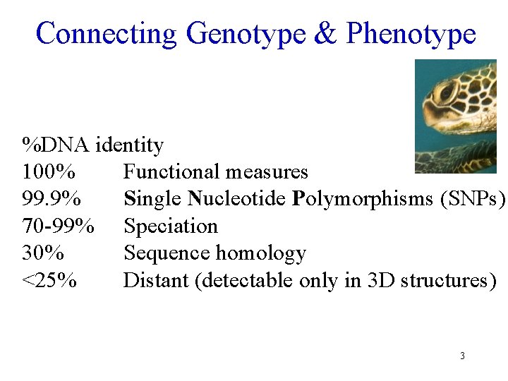 Connecting Genotype & Phenotype %DNA identity 100% Functional measures 99. 9% Single Nucleotide Polymorphisms