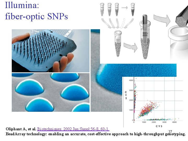 Illumina: fiber-optic SNPs Oliphant A, et al. Biotechniques. 2002 Jun; Suppl: 56 -8, 60