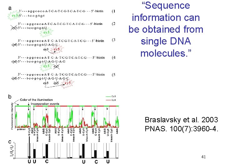 “Sequence information can be obtained from single DNA molecules. ” Braslavsky et al. 2003