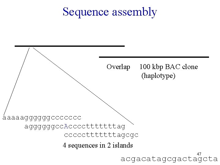 Sequence assembly Overlap 100 kbp BAC clone (haplotype) aaaaaggggggccccccc aggggggcc. Acccctttttttag ccccctttttttagcgc 4 sequences
