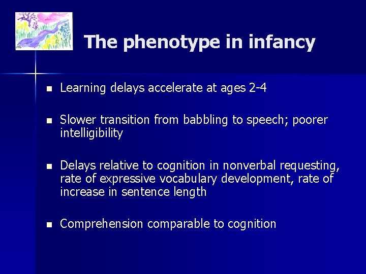 The phenotype in infancy n Learning delays accelerate at ages 2 -4 n Slower