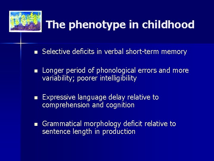 The phenotype in childhood n Selective deficits in verbal short-term memory n Longer period