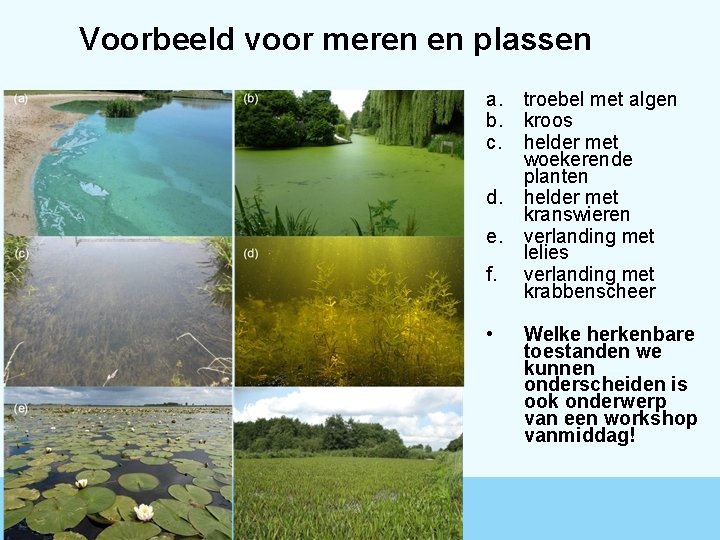 Voorbeeld voor meren en plassen a. troebel met algen b. kroos c. helder met Voorbeeld voor meren en plassen a. troebel met algen b. kroos c. helder met