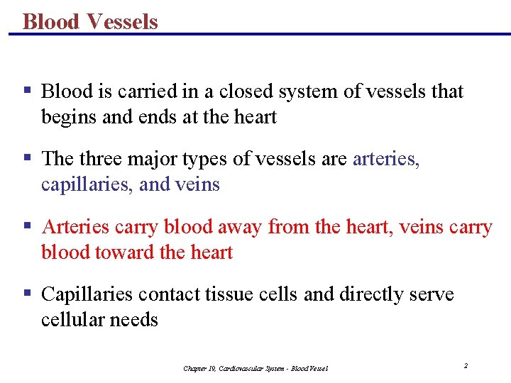 Blood Vessels § Blood is carried in a closed system of vessels that begins