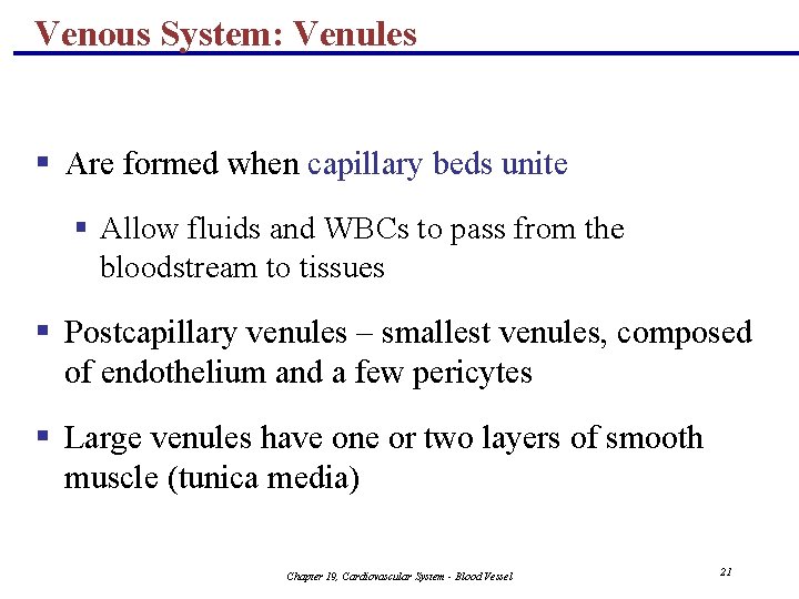 Venous System: Venules § Are formed when capillary beds unite § Allow fluids and