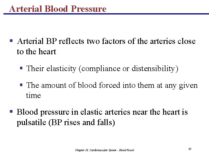 Arterial Blood Pressure § Arterial BP reflects two factors of the arteries close to