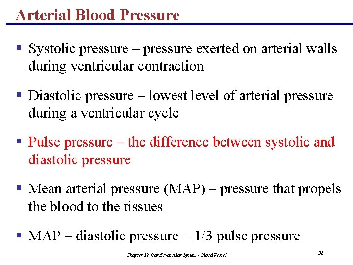 Arterial Blood Pressure § Systolic pressure – pressure exerted on arterial walls during ventricular