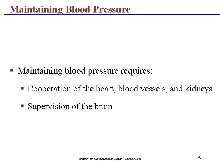 Maintaining Blood Pressure § Maintaining blood pressure requires: § Cooperation of the heart, blood