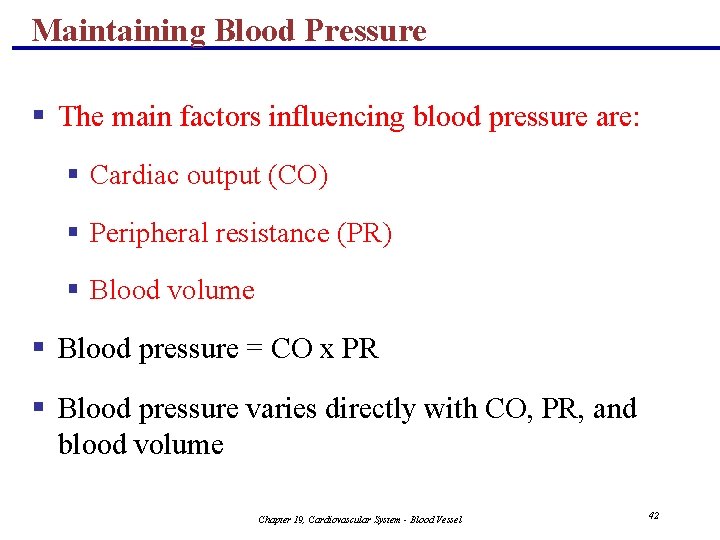 Maintaining Blood Pressure § The main factors influencing blood pressure are: § Cardiac output