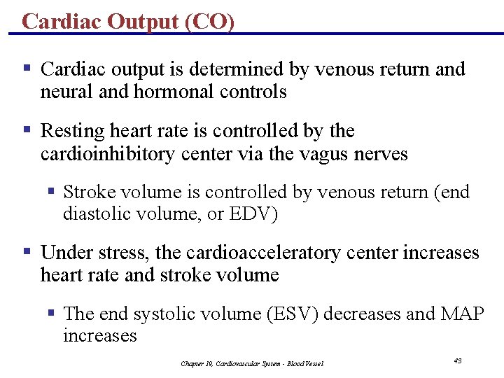 Cardiac Output (CO) § Cardiac output is determined by venous return and neural and
