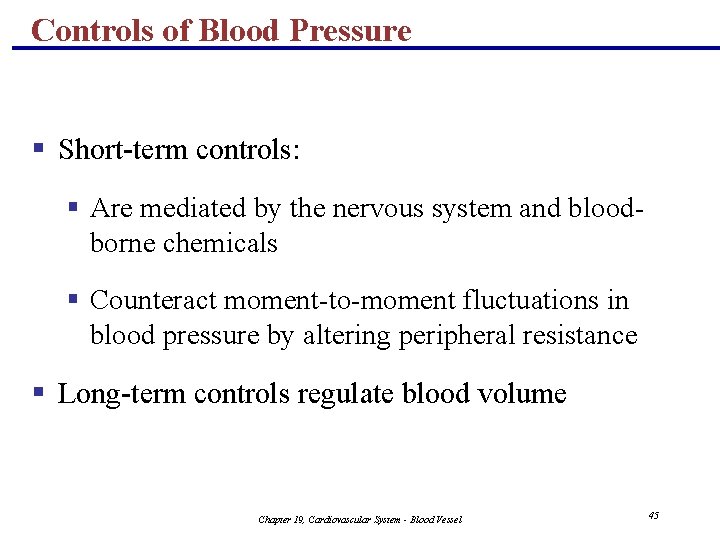 Controls of Blood Pressure § Short-term controls: § Are mediated by the nervous system