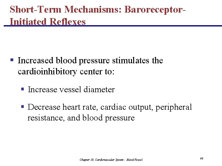Short-Term Mechanisms: Baroreceptor. Initiated Reflexes § Increased blood pressure stimulates the cardioinhibitory center to: