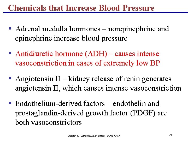 Chemicals that Increase Blood Pressure § Adrenal medulla hormones – norepinephrine and epinephrine increase