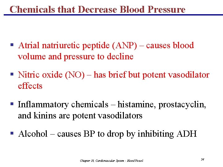 Chemicals that Decrease Blood Pressure § Atrial natriuretic peptide (ANP) – causes blood volume