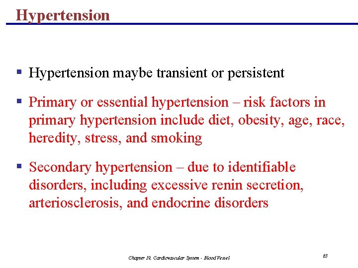 Hypertension § Hypertension maybe transient or persistent § Primary or essential hypertension – risk