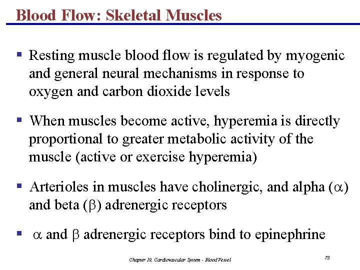 Blood Flow: Skeletal Muscles § Resting muscle blood flow is regulated by myogenic and