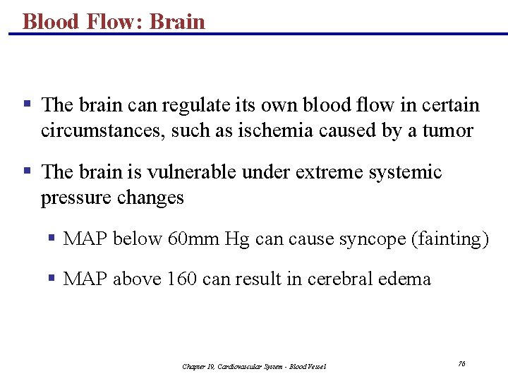 Blood Flow: Brain § The brain can regulate its own blood flow in certain