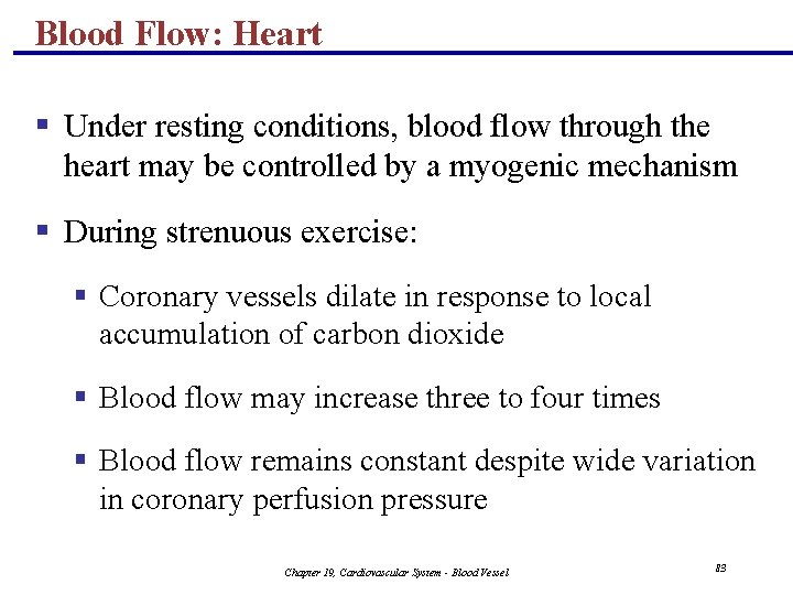 Blood Flow: Heart § Under resting conditions, blood flow through the heart may be