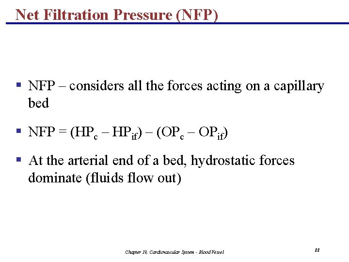 Net Filtration Pressure (NFP) § NFP – considers all the forces acting on a