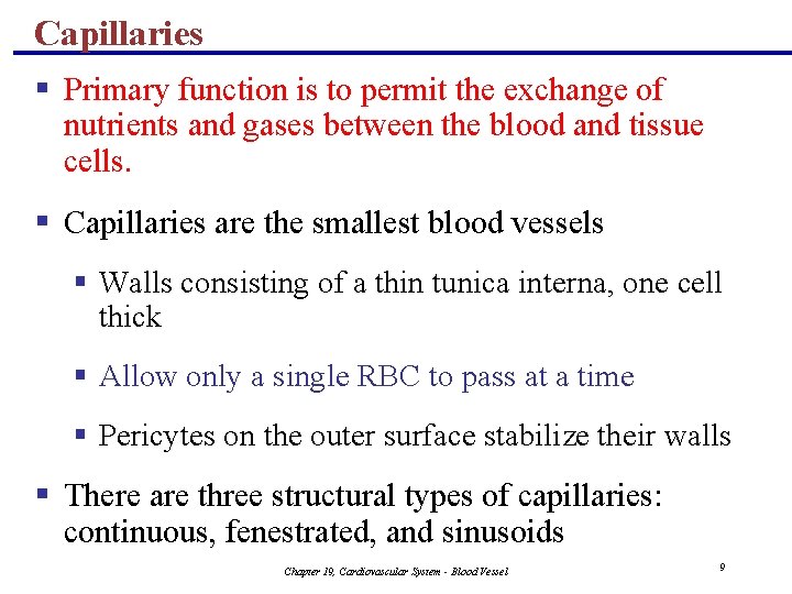Capillaries § Primary function is to permit the exchange of nutrients and gases between