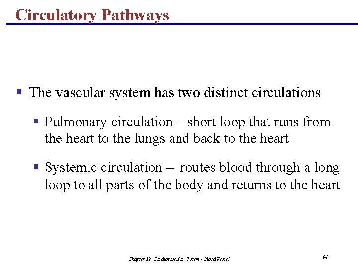 Circulatory Pathways § The vascular system has two distinct circulations § Pulmonary circulation –