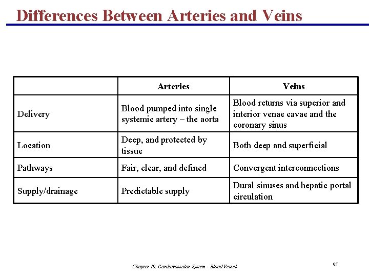 Differences Between Arteries and Veins Arteries Veins Delivery Blood pumped into single systemic artery