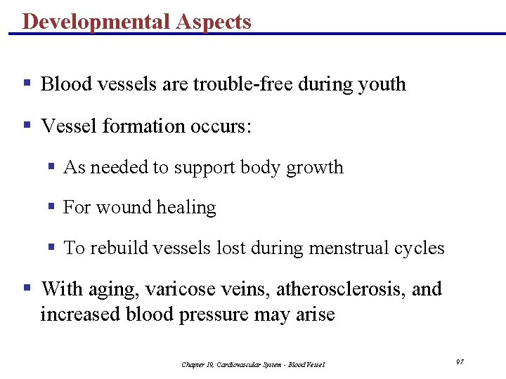 Developmental Aspects § Blood vessels are trouble-free during youth § Vessel formation occurs: §