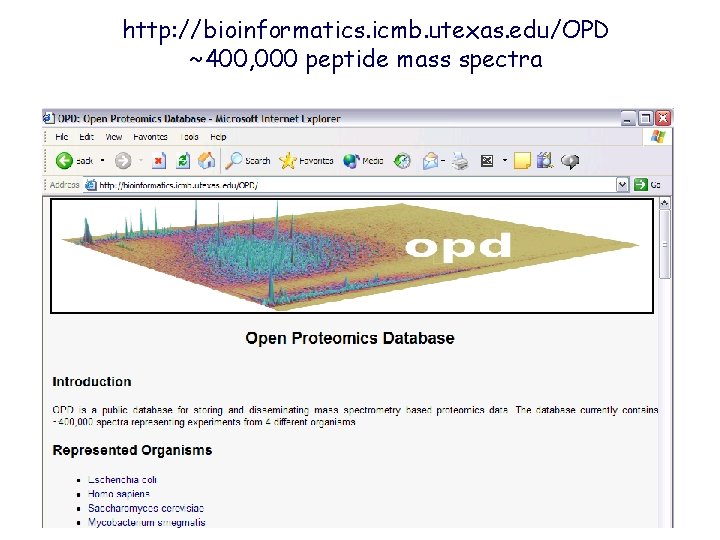 http: //bioinformatics. icmb. utexas. edu/OPD ~400, 000 peptide mass spectra 