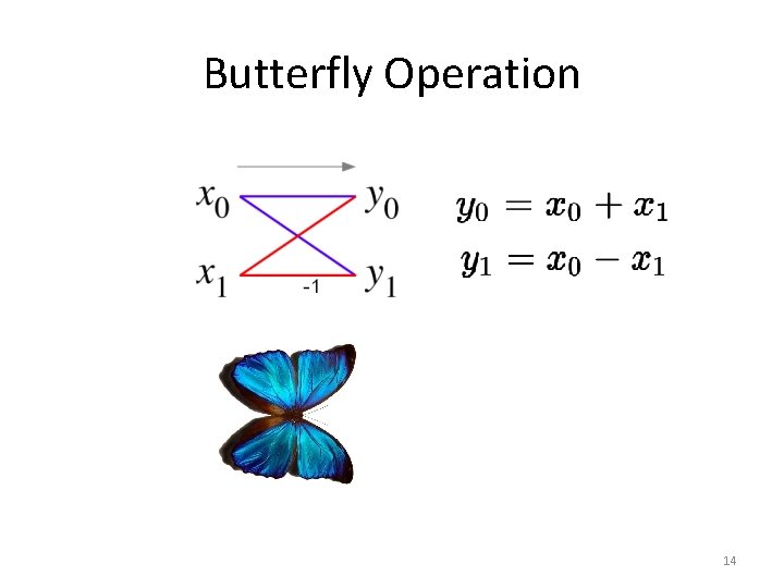 Butterfly Operation 14 