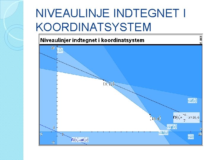 NIVEAULINJE INDTEGNET I KOORDINATSYSTEM 