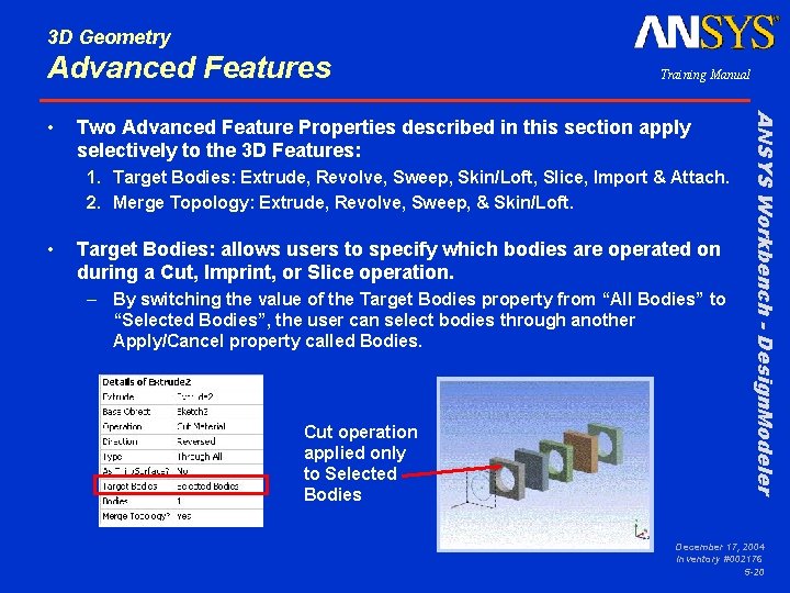 3 D Geometry Advanced Features Two Advanced Feature Properties described in this section apply