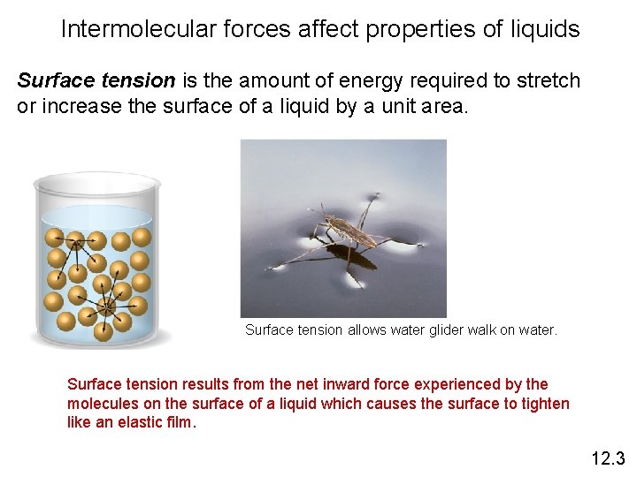 Intermolecular forces affect properties of liquids Surface tension is the amount of energy required