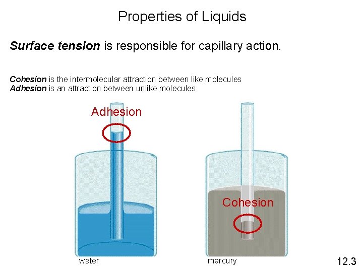 Properties of Liquids Surface tension is responsible for capillary action. Cohesion is the intermolecular