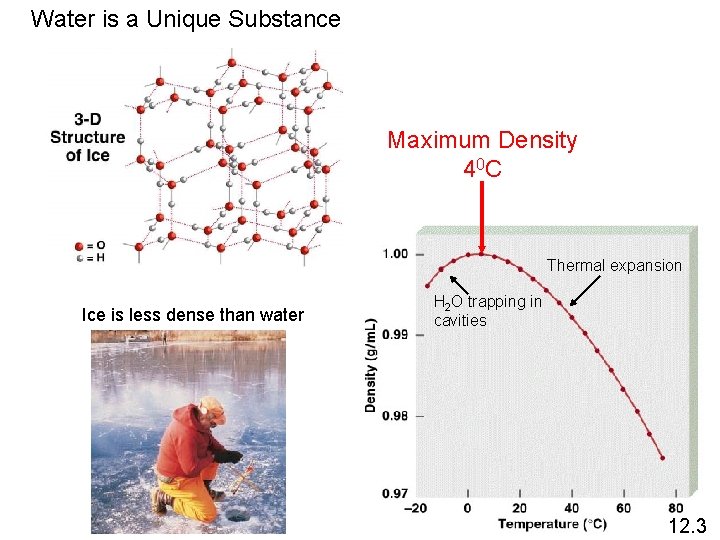 Water is a Unique Substance Maximum Density 4 0 C Thermal expansion Ice is