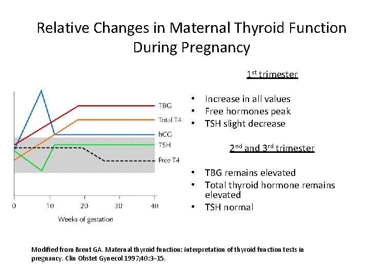 Relative Changes in Maternal Thyroid Function During Pregnancy 1 st trimester • Increase in