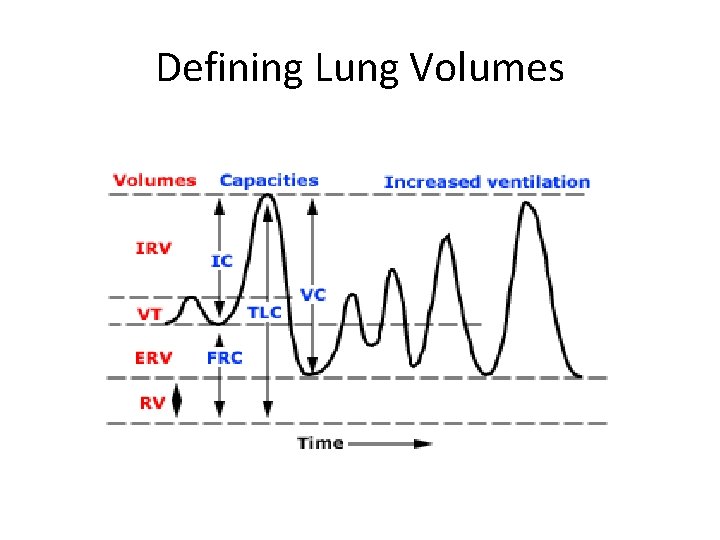 Defining Lung Volumes 