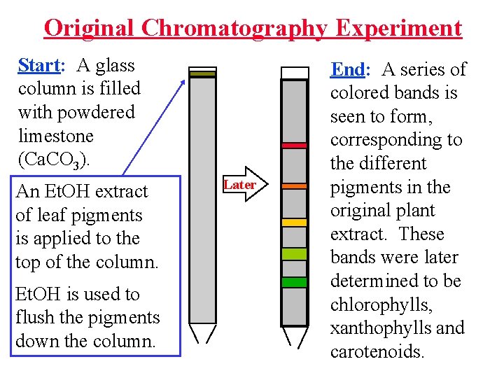 Original Chromatography Experiment Start: A glass column is filled with powdered limestone (Ca. CO
