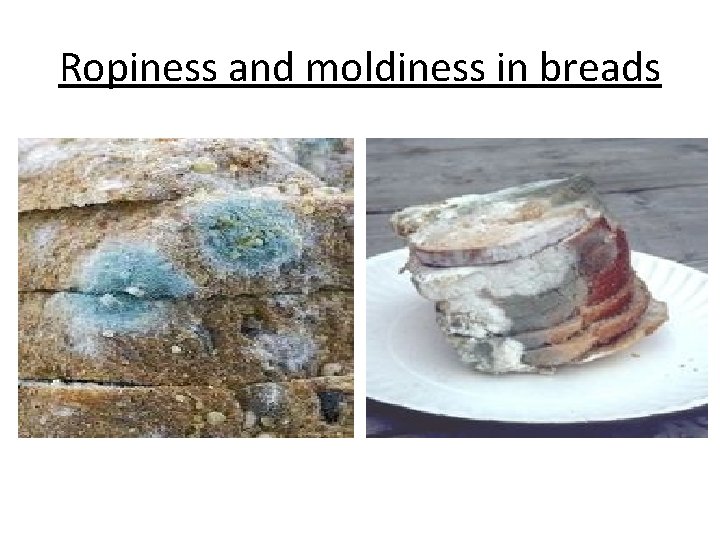 Ropiness and moldiness in breads 