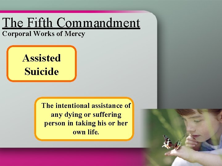 The Fifth Commandment Corporal Works of Mercy Assisted Suicide The intentional assistance of any