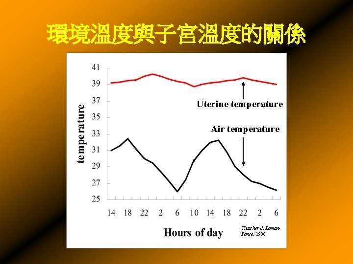 環境溫度與子宮溫度的關係 Uterine temperature Air temperature Thatcher & Roman. Ponce, 1980 