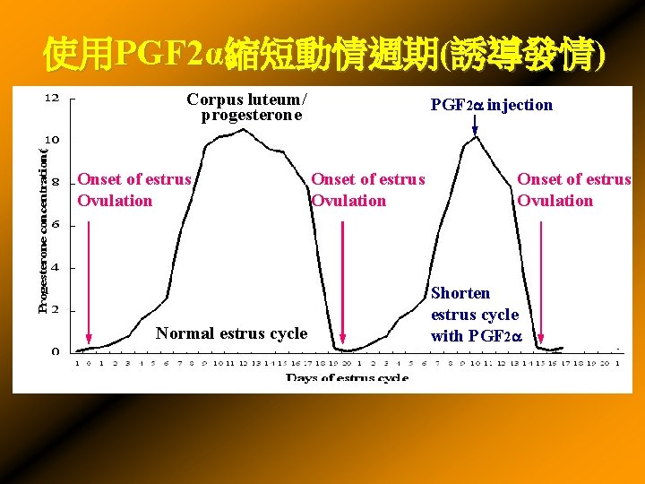 使用PGF 2α縮短動情週期(誘導發情) Corpus luteum/ progesterone Onset of estrus Ovulation Normal estrus cycle PGF 2