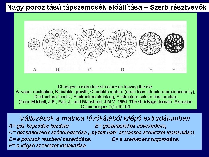 Nagy porozitású tápszemcsék előállítása – Szerb résztvevők Változások a matrica fúvókájából kilépő extrudátumban A=