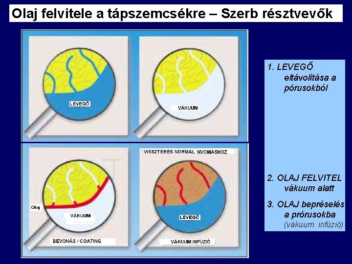 Olaj felvitele a tápszemcsékre – Szerb résztvevők 1. LEVEGŐ eltávolítása a pórusokból 2. OLAJ