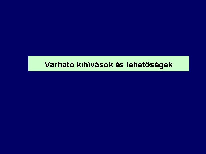 Várható kihívások és lehetőségek 