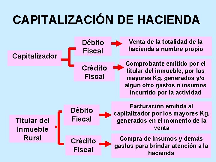 CAPITALIZACIÓN DE HACIENDA Capitalizador Débito Fiscal Crédito Fiscal Titular del Inmueble Rural Venta de