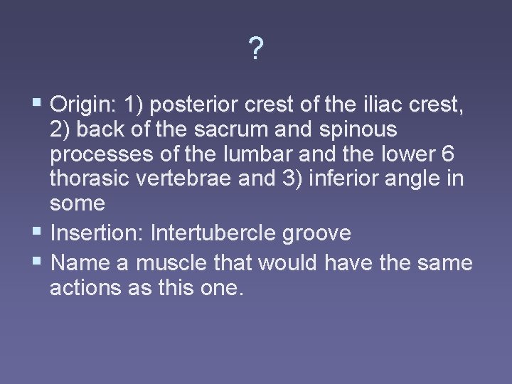 ? § Origin: 1) posterior crest of the iliac crest, 2) back of the