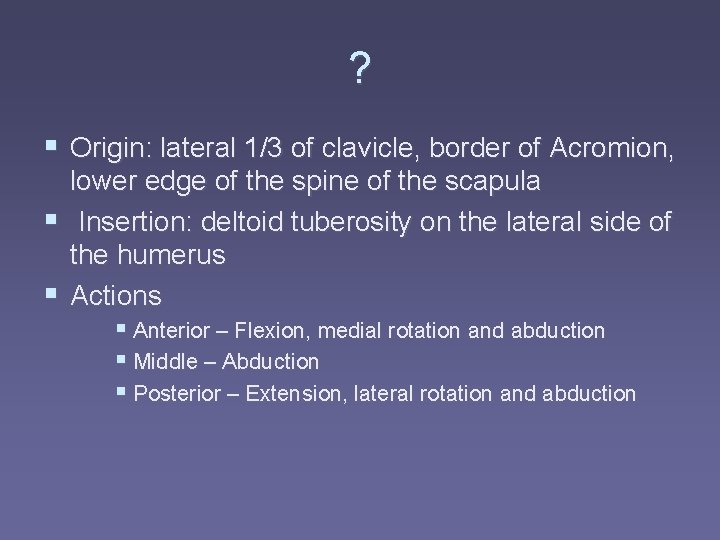 ? § Origin: lateral 1/3 of clavicle, border of Acromion, lower edge of the