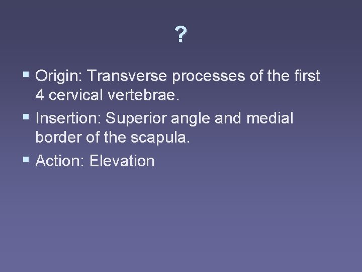 ? § Origin: Transverse processes of the first 4 cervical vertebrae. § Insertion: Superior